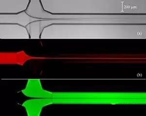 1460941434313271.jpg 0160418090139.jpg