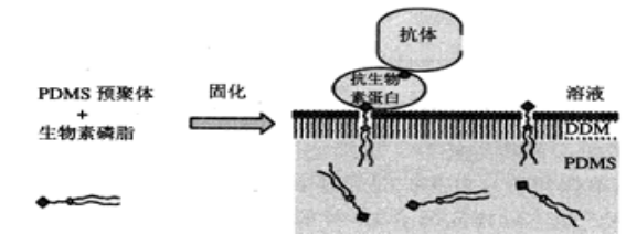 1463466432418613.png blob.png