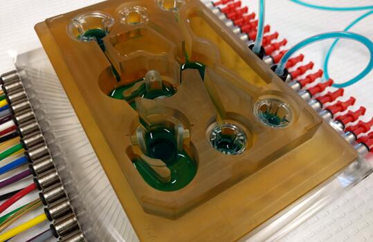 麻省理工學(xué)院研制出的擁有7種“器官”的人體芯片