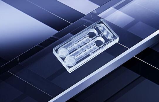 器官芯片可以變革藥物測(cè)試