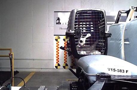 制藥公司認(rèn)為人造器官將終結(jié)動(dòng)物實(shí)驗(yàn)