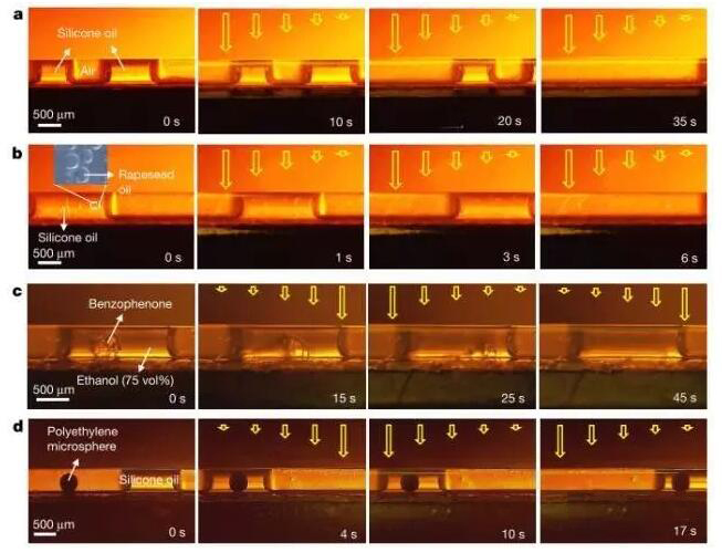 1473383892126956.jpg QQ截圖20160909090321.jpg