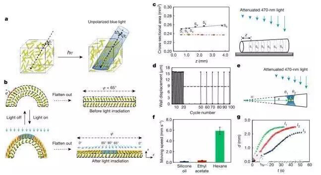 1473383912719706.jpg QQ截圖20160909090415.jpg