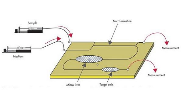 微流控芯片鍵合
