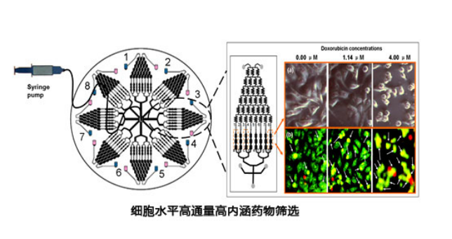 1479349942116719.png 圖片1.png