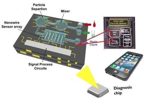 1479350096379023.jpg h.jpg