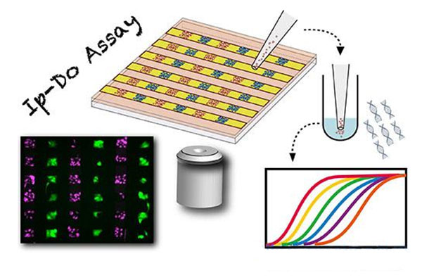 1479359262385392.jpg 微流控芯片
