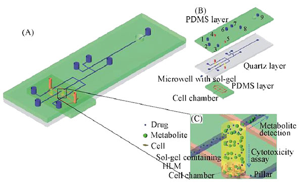 微流控芯片實驗室