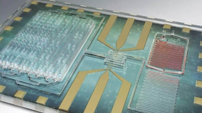 1500446275479201.jpg s.jpg