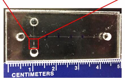 1500969529102837.jpg 20170709113134488.jpg