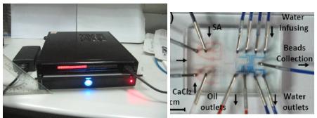 新型數(shù)字化閥控微流平臺(tái)及其應(yīng)用在藥物開發(fā)和抗藥篩選方面的研究 新型數(shù)字化閥控微流平臺(tái)及其應(yīng)用在藥物開發(fā)和抗藥篩選方面的研究