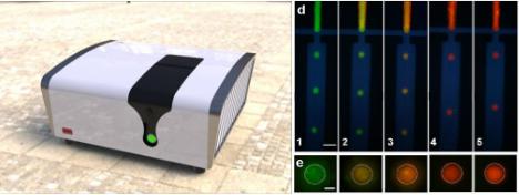 在線芯片生物大分子熒光毛細(xì)管電泳與PCR檢測(cè)聯(lián)用 在線芯片生物大分子熒光毛細(xì)管電泳與PCR檢測(cè)聯(lián)用
