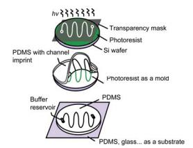 基于軟蝕刻技術(shù)的芯片快速?gòu)?fù)制法