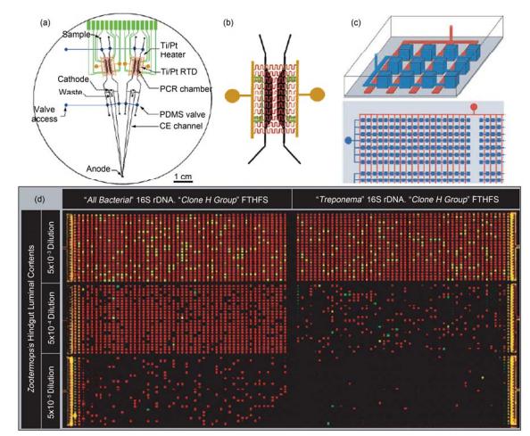 集成微流控芯片用于聚合酶鏈?zhǔn)椒磻?yīng)(PCR)應(yīng)用實(shí)例 (a) 多通道 RT-PCR-CE 芯片結(jié)構(gòu)示意圖, 在 1 塊 100 mm 直徑的芯片上集成有阻抗加熱元件、加熱電極引出條、Ti/Pt 感應(yīng)溫度傳感器、PCR 反應(yīng)腔室、電泳分離通道和 PDMS 氣動(dòng)微閥; (b) 反應(yīng)腔室區(qū)域放大圖[26]; (c) 數(shù)位式集成化 PCR 微流控芯片示意圖, 深色, 反應(yīng)微腔室; 淺色, 微閥; (d) 數(shù)位式集成 PCR 反應(yīng)結(jié)果圖