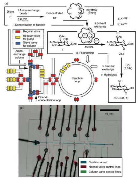 集成微流控芯片用于化學(xué)合成的研究 (a) 規(guī)模集成式芯片用于操控液體在芯片中合成 2-18 氟-2-脫氧葡萄糖芯片核心結(jié)構(gòu)與過(guò)程示意圖[39]; (b) 用于合成寡聚核苷酸分子的集成式 PFPE 微流控芯片實(shí)物圖