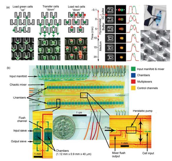 集成微流控芯片對(duì)細(xì)胞的操控與全自動(dòng)培養(yǎng) (a) 利用芯片的加工對(duì) A 和 B 細(xì)胞配對(duì)精確控制, 并在芯片上進(jìn)行高效率細(xì)胞融合[17]; (b) 全集成微流控芯片對(duì)細(xì)胞的全自動(dòng)化連續(xù)培養(yǎng)
