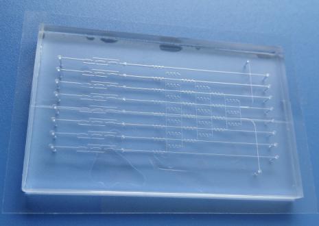 汶顥微流控PDMS芯片 汶顥微流控PDMS芯片