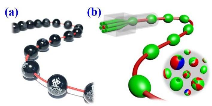 毛細管陣列微流控技術(shù)制備大孔微載體