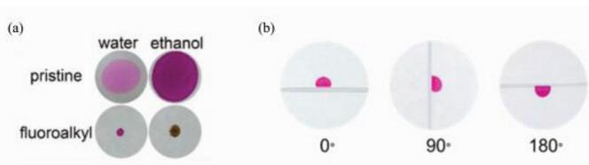 (a)染料水溶液和乙醇溶液分別滴加到原始濾紙上和全氟辛基二氧化硅修飾的濾紙上，及(b)水滴在不同旋轉(zhuǎn)角度全氟辛基二氧化硅修飾的濾紙表面上的照片