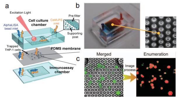 多孔洞結(jié)微過(guò)濾薄膜之微流控芯片 (a) 流流控芯片示意圖 (b) 實(shí)際微流控芯片照片及使用電子掃描顯微鏡（SEM）所拍攝之微過(guò)濾薄膜孔徑圖 (c) 使用分析軟體進(jìn)行細(xì)胞計(jì)數(shù)示意圖