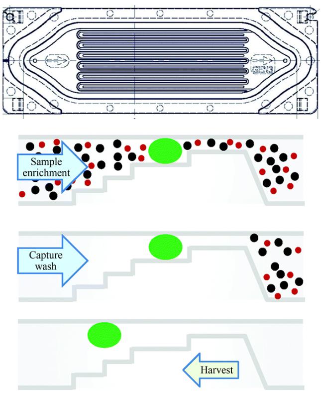 一次性Parsortix盒整體及截面結(jié)構(gòu)示意圖