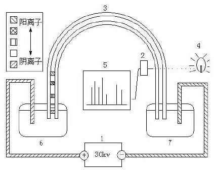 微流控芯片毛細(xì)管電泳過程示意圖