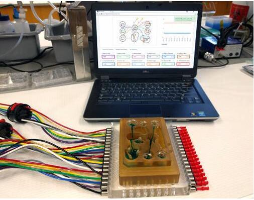 研究人員將多器官平臺連接到相關(guān)軟件，每個孔都連接有一個微型生理系統(tǒng)，如肺、腸道，或中樞神經(jīng)系統(tǒng)，流體流經(jīng)通道以模擬生理心臟輸出