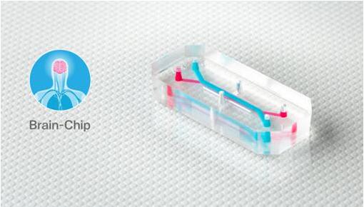 Emulate的器官芯片，如大腦芯片，包含排列成千上萬活的人體細胞和組織的微小中空通道，每個都有大約AA電池（5號電池）大小