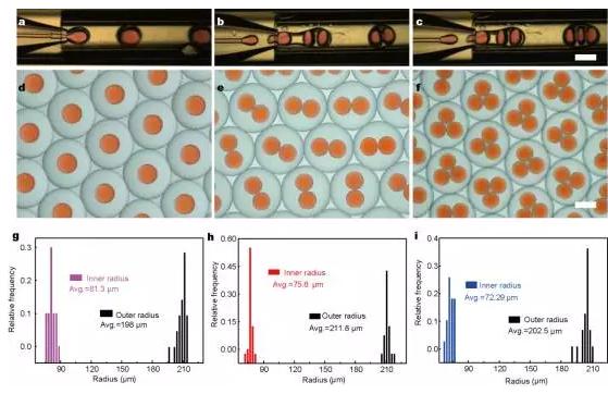 使用微流控裝置得到不同尺寸和結(jié)構(gòu)的微膠囊 使用微流控裝置得到不同尺寸和結(jié)構(gòu)的微膠囊