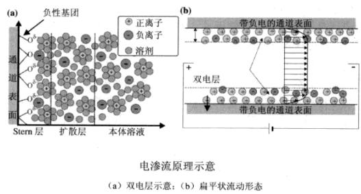 微流控芯片電滲流原理示意圖 微流控芯片電滲流原理示意圖
