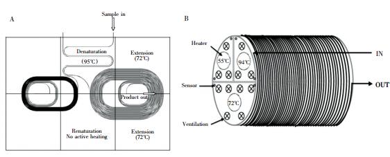 圖3  螺旋通道型 PCR裝置: ( A) 平面螺旋通道 PCR 裝置，( B) 圓柱螺旋通道 PCR裝置