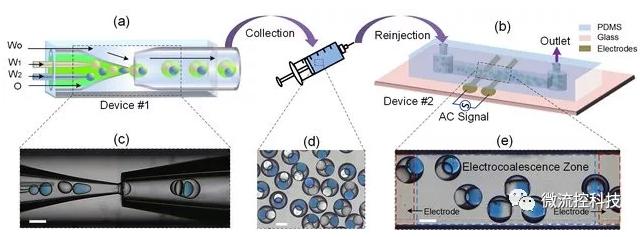 哈工大在微流控納升級(jí)微反應(yīng)器研究領(lǐng)域取得新進(jìn)展