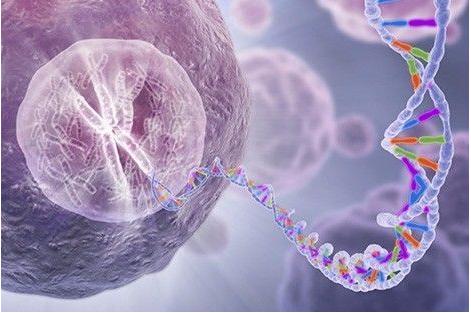 單細(xì)胞測序