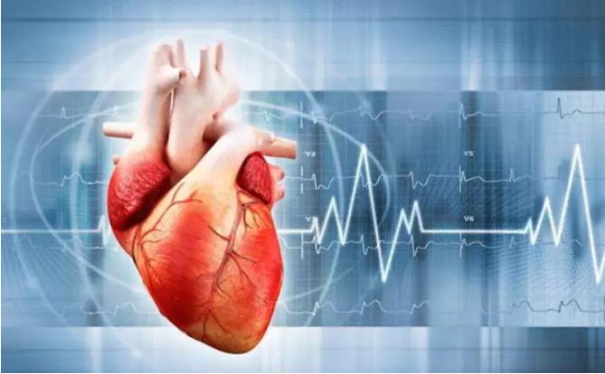 3D打印在心血管構(gòu)建方面的應(yīng)用