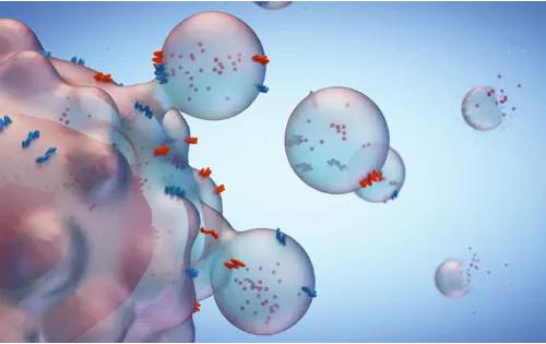 基于外泌體與蛋白質(zhì)組學(xué)的液體活檢技術(shù)，新產(chǎn)品助力癌癥診斷