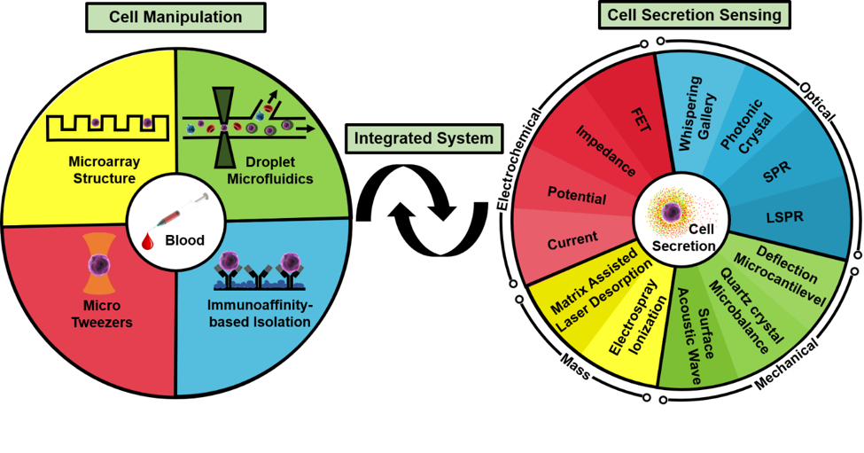 基于微流體系統(tǒng)的單細(xì)胞生物檢測(cè)技術(shù)