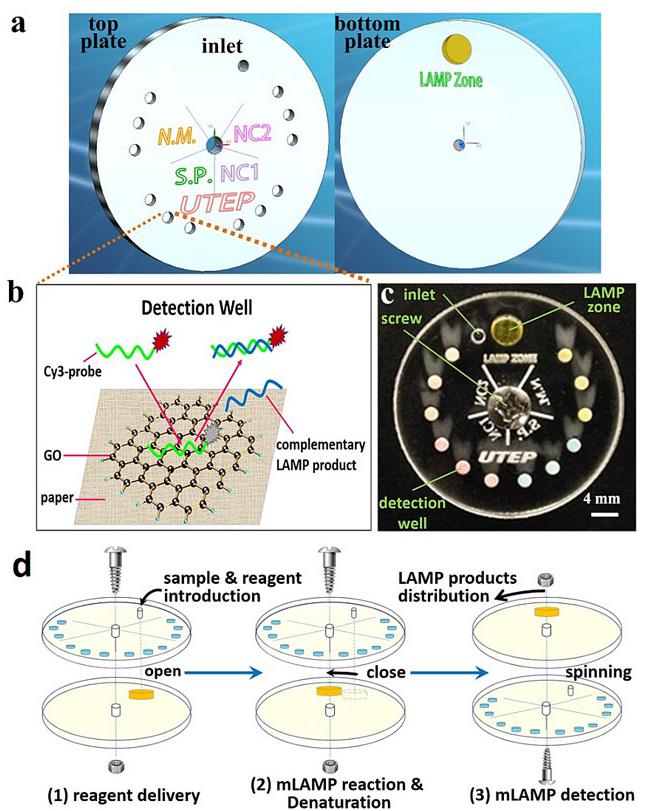 小小可旋轉(zhuǎn)CD生物芯片實(shí)現(xiàn)多種傳染性疾病的及時(shí)定量診斷