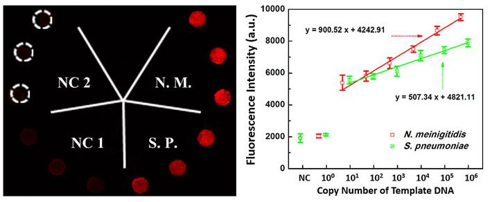 微流控生物芯片在醫(yī)療診斷應(yīng)用