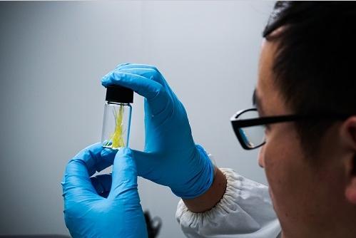 復旦大學俞燕蕾團隊研發(fā)出全新概念的光控微流體新技術