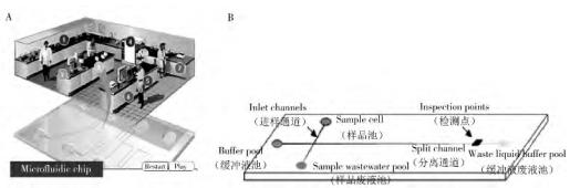 圖 1 微流控芯片的主要功能(A)及常見(jiàn)微流控芯片通道結(jié)構(gòu)(B)