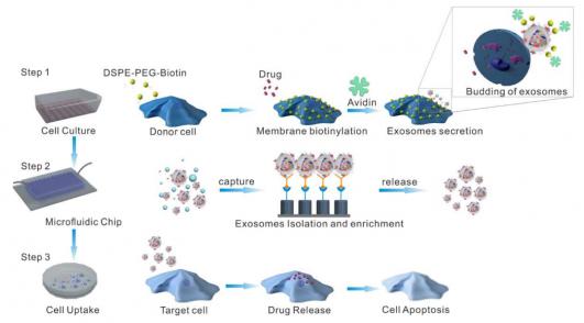 三維納米結(jié)構(gòu)微流控芯片 三維納米結(jié)構(gòu)微流控芯片