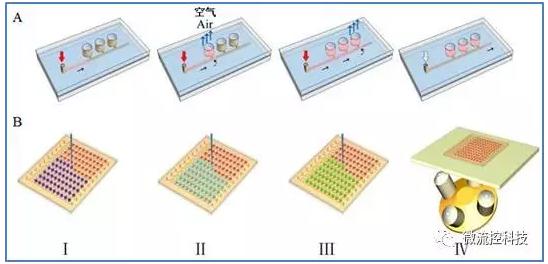 微流控組織陣列芯片上藥物組合篩選流程示意圖
