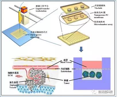 開(kāi)放式微流控芯片組織陣列系統(tǒng)