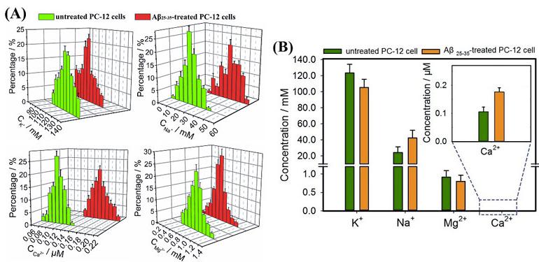 圖3. （A）Aβ25-35刺激前后Na+、K+、Ca2+、Mg2+濃度變化的正態(tài)分布圖；（B）Aβ25-35刺激前后Na+、K+、Ca2+、Mg2+濃度變化的柱狀圖