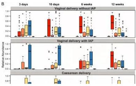 孕婦分娩期用抗生素，嬰兒菌群成熟推遲