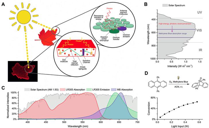圖1. A.仿葉片微流控光催化裝置的工作原理；B和C.甲基藍(lán)（MB）與LR305熒光染料的吸收光譜在太陽光譜中的位置；D. 9,10-二苯基蒽在單線態(tài)氧下的環(huán)化加成反應(yīng)。圖片來源：Angew. Chem. Int. Ed.