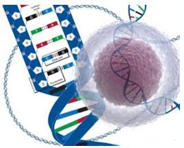 單細(xì)胞測序（SCS）技術(shù)介紹及應(yīng)用