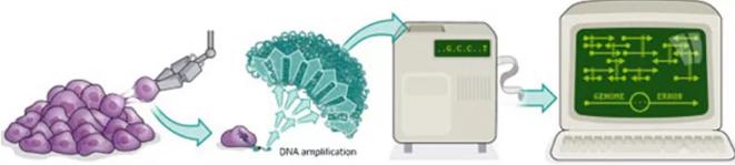單細(xì)胞測序技術(shù)的流程