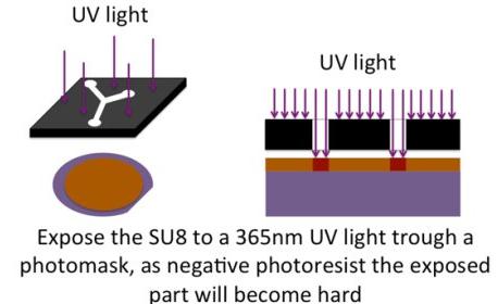 曝光的目的是通過激活光刻膠中的部分PAC（PhotoActiv Component）來引發(fā)交聯(lián)反應(yīng)
