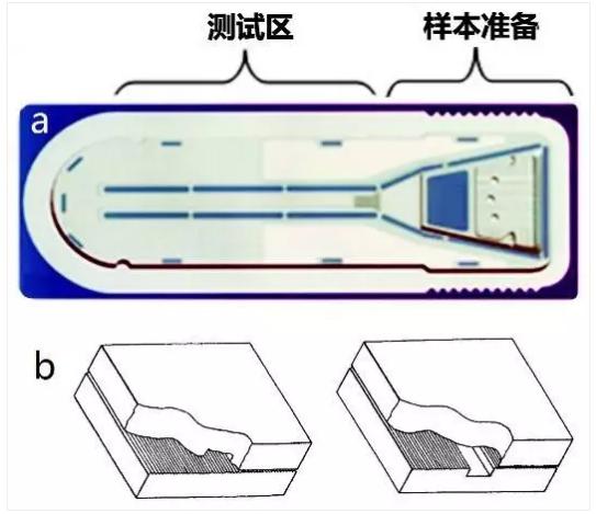 圖3 Biosite微流體測試卡結(jié)構(gòu) 圖3 Biosite微流體測試卡結(jié)構(gòu)